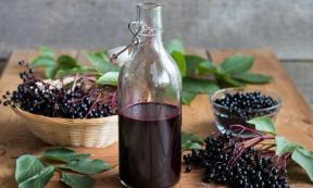 Elderberry remedy as a syrup with fresh elderberries in the background.         Source: Madeleine Steinbach / Adobe stock