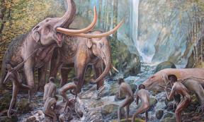 Flores hobbits may have arrived on leaf baskets.  Here they interact with stegodons and Komodo dragon. Source: Peter Schouten