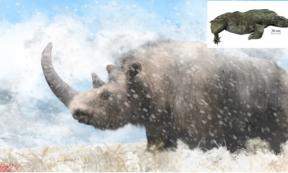 An artist’s rendition of a prehistoric woolly rhinoceros.