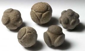 Five carved stone spheres from Scotland held at the Ashmolean Museum 