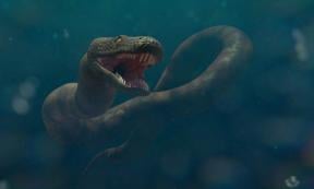 Could there be a snake as large as Titanoboa still living in the Amazon? Source: Dottedyeti / Adobe Stock.