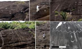 A variety of the giant petroglyphs discovered along the Orinoco River