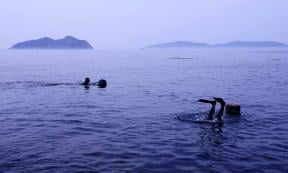 Korean haenyeo divers. Source: ufokim / Adobe Stock.