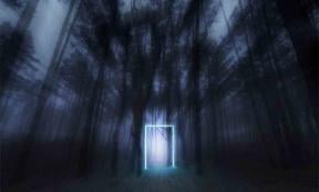 The Hoia Forest in Romania has become connected to paranormal activity in local legends and is said to be haunted by unfriendly spirits.