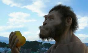 Homo Naledi. Source: YouTube Screenshot / Scientists Against Myths.