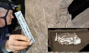 Dr Lee Berger with hashtag carving in Rising Star cave system. Insert; Possible Homo naledi burial pit. 	Source: © Berger et al., 2023