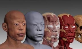 Hongshan culture