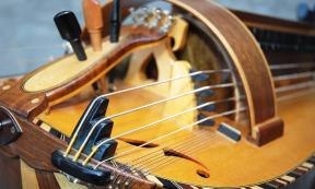 Detail of a hurdy gurdy