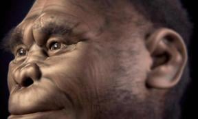 Study Finds Indonesian Hobbits 