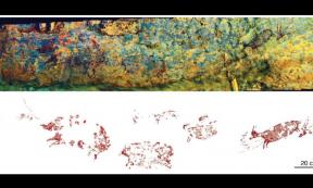 The Indonesian cave art hunting scene panorama. Source: Credit: Adam Brumm, Agus Oktaviana