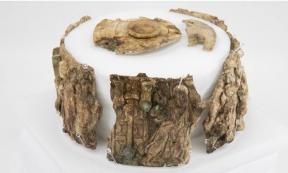 Ivory fragments of the pyx arranged in the round on a white background.	Source: © Universität Innsbruck