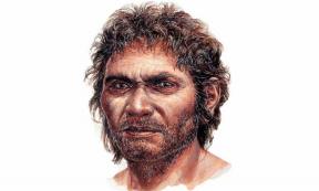 The Japanese population is descended from the Minatogawa man, depicted here in an artistic reconstruction. Source: Teruya Yamamoto / National Museum of Nature and Science, Tokyo