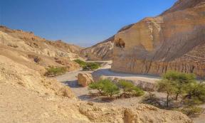 It was in a canyon like this one in the Judean Desert in the West Back of Israel that archaeologists found two ancient Jewish coins (one from 67 AD and one from circa 135 AD). That the coins were found in the same area rewrites existing assumptions about the Jewish revolts against the Romans in an area assumed to be uninhabited after the first Jewish revolt stage.  