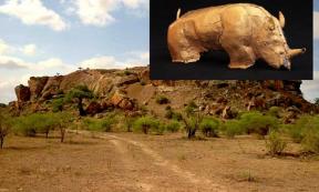 Mapungubwe Hill viewed from the north, The gold rhino of Mapungubwe.