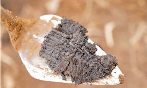 Woven grass mat fragments, approximately 3,000 years old, extracted from an ancestral Kodiak Alutiiq dwelling near Karluk Lake.       Source: Alutiiq Museum