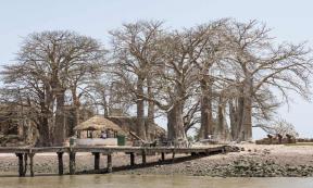Kunta Kinteh Island in Gambia. Source: s-aznar / Adobe Stock
