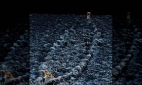 Underwater photograph of sunken boat in Lake Mjøsa, with outline showing shape and characteristics. 