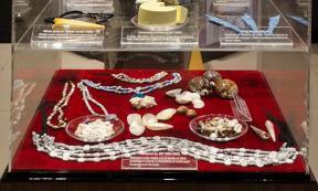 Display of various items that were used as forms of money by past civilizations, from the RBI Museum in Kolkata, India. 