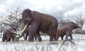 Mammoth-bone structure is dated at around 24,000 BC.       Source: auntspray / Adobe Stock