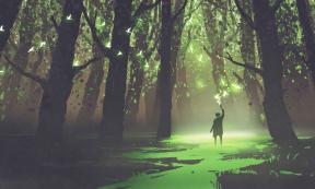 A man alone in a faerie realm.