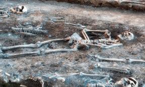 Skeletons in a mass grave. Source: EKH-Pictures / Adobe Stock.