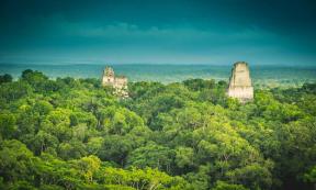 Maya Cities Had Unique Neotropical Forest Parks Says New Study