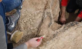 Ancient Mesopotamian boat unearthed near Uruk. Source: Julia Nador - Deutsches Archäologisches Institut / CC-BY-NC-ND