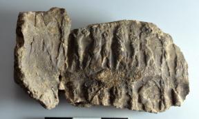 Mesopotamian seals and cuneiform tablets found in Marad, Iraq.      Source: Universita di Pisa