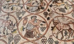 Part of the intricate mosaic reveal in the Western Negev, Israel.