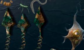 Artist's illustration symbolically depicting the research results. Source: Sayo Studio/Nature