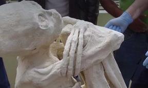 Alleged Mummy found at Nazca, clearly has three fingers and toes