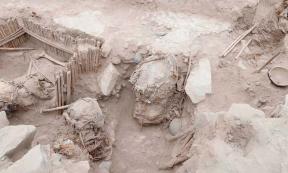 Five mummified remains found in Huaca la Florida, Lima. Source: Peru Ministry of Culture
