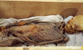 Archaeologists were astounded when they discovered a mutilated mummy within a humble burial chamber in Luxor's 'Valley of the Kings.	Source: YouTube Screenshot/Smithsonian Channel