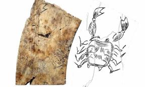 The Shock Discovery of the Nakovane Zodiac