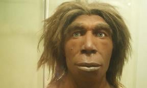 Reconstruction of what a Neanderthal may have looked like in the Museum für Naturkunde, Berlin, Germany