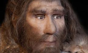 Representation of a Neanderthal. A new study of Neanderthal DNA tells the story of their migrations between Europe and Siberia. Source: procy_ab /Adobe Stock
