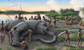 Artist's reconstruction of a group of Neanderthals butchering a straight-tusked elephant (Palaeoloxodon antiquus). (It is unknown whether Neanderthals wore any type of clothing, so the depiction reflects artistic license). Source: Alex Boersma/PNAS