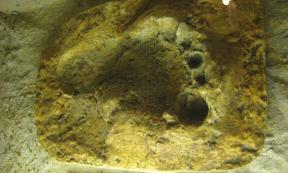 Neanderthal (Homo neanderthalensis) footprint in the Natural History Museum in Prague.
