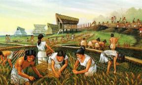 Ancient farmers - A Neolithic Revolution