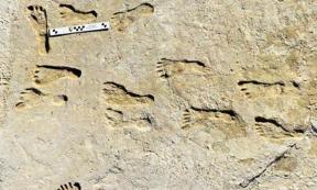 The ancient New Mexico footprints found at White Sands National Park, which could be dated because the footprints were embedded with native plant seeds. 		Source: Bennett et al. / Science