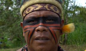 Amazonian native