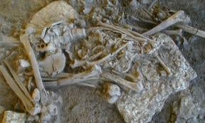 One of the complete skeletons found in the Frälsegården passage grave.	Source: Karl-Göran Sjögren/Nature