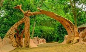 Osun-Osogbo Sacred Grove in Nigeria. A sacred forest along the banks of the Osun River just outside the city of Osogbo in Osun State. Source:	 Oloyedejuwonlo/CC BY-SA 4.0