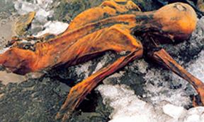 Otzi the Iceman as he was found. (Public Domain)