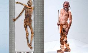 New study challenges what was initially believed about 5,300-year-old Ötzi the Iceman genes. (Inset: The Ötzi mummy)  Source: OetziTheIceman/CC BY-NC-ND 2.0 (Inset; Cell Press)