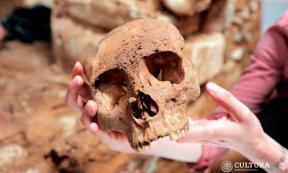 Ruins of the ancient Maya city of Palenque, where the recent Palenque burial chambers were discovered by archaeologists during excavations ahead of the planned Maya train construction. (Maximilian / Adobe Stock)