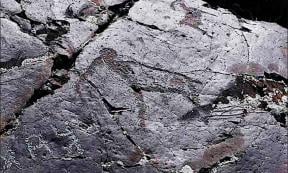 The Paleolithic rock art of the mammoth discovered at Baga-Oygur III in early 2000s. Source: Institute of Archaeology and Ethnography SB RAS / Siberian Times