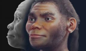 Reconstruction of the Piltdown Man hoax hominin by Cicero Moraes et al.	Source: (© Cicero Moraes et al.)