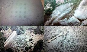 Some of the photographs taken via satellite and presented by Manuel Cuevas as an indication of the presence of ancient buildings in the area of the Pinar de la Algaida, Cadiz province. 