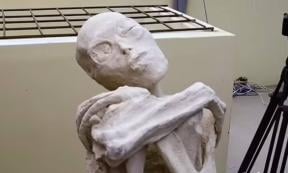 Mysterious Peruvian mummy with unusual physical features, leaving some to suspect they are not human.